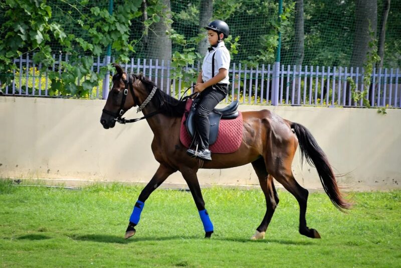 FLORETO WORLD SCHOOL, SIKAR