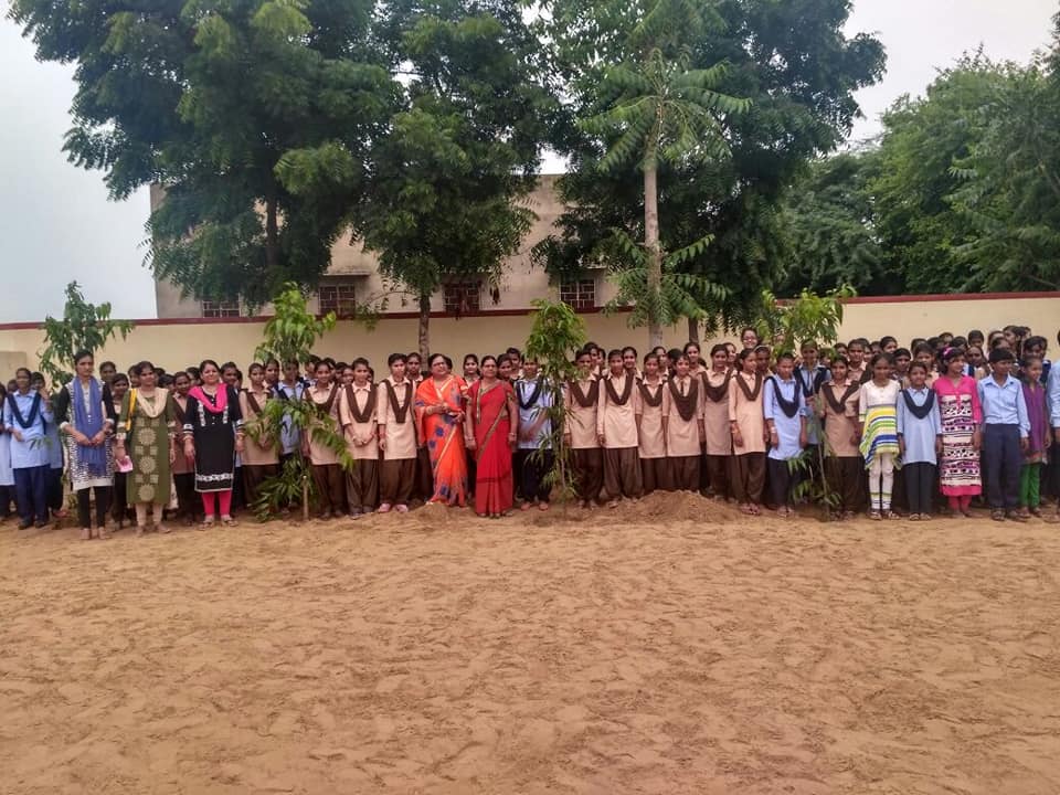 Shri Dedraj Khetan Govt Sr Sec School, Losal Sikar